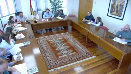 PLENO 8/4/2025