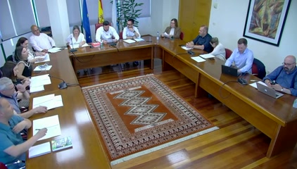 PLENO 29/5/2025