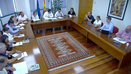 PLENO 31/07/2025