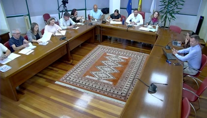 PLENO ORDINARIO 30/07/2026